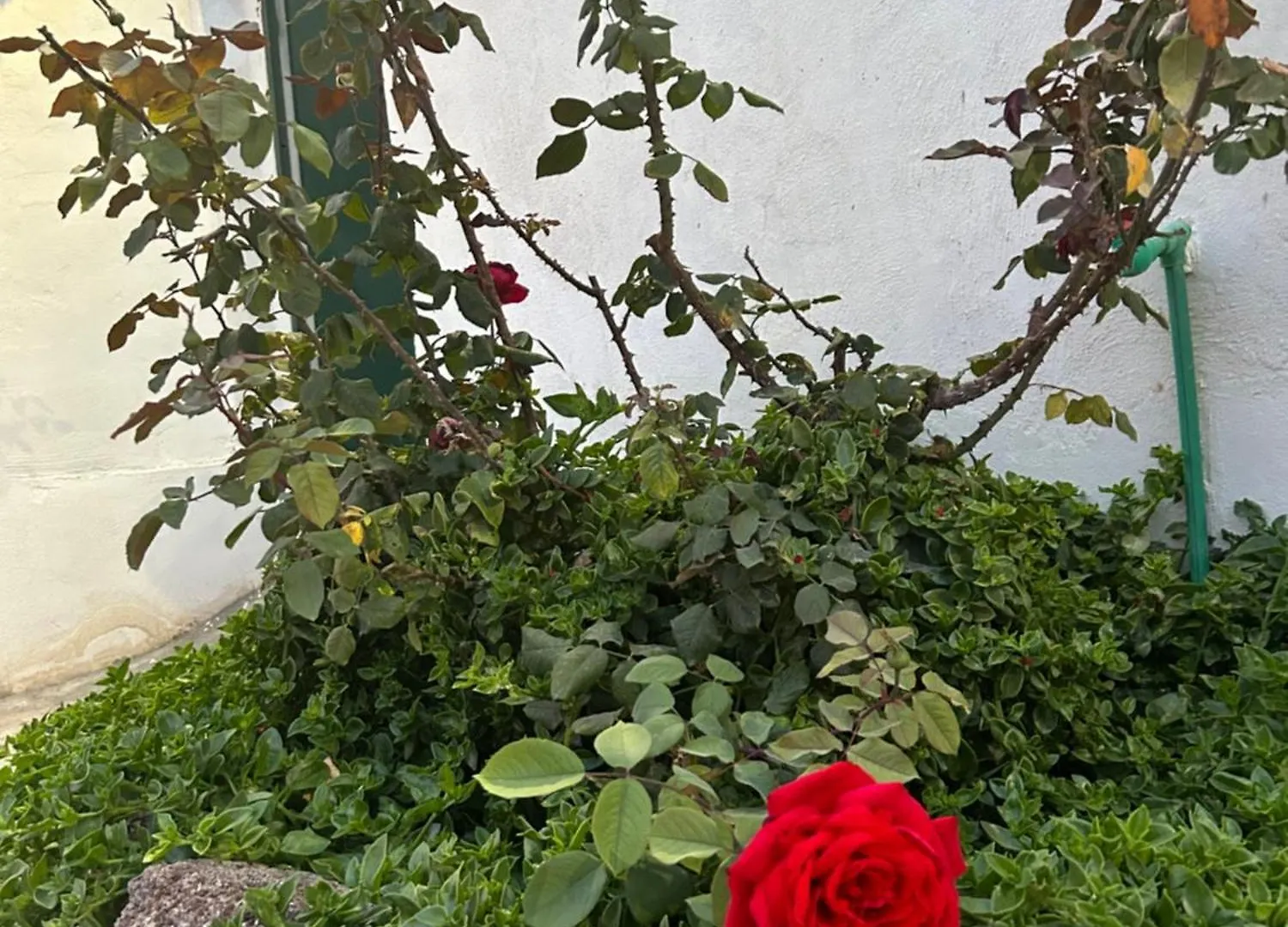 Διαμέρισμα Casa Rural El Pasil Arona